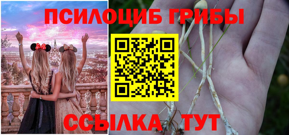 закладка  Галлюциногенные грибы прущие грибы  Вход с VPN  Полевской 