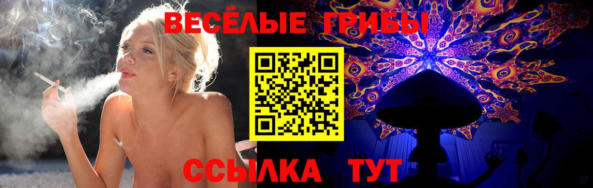 Псилоцибиновые грибы Psilocybine cubensis Полевской